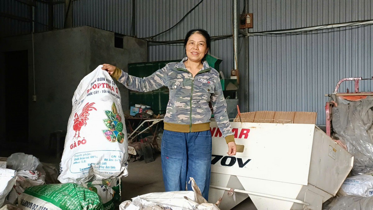 Câu chuyện chồng Đài, vợ Việt đam mê trồng lúa tốt ở Hải Dương