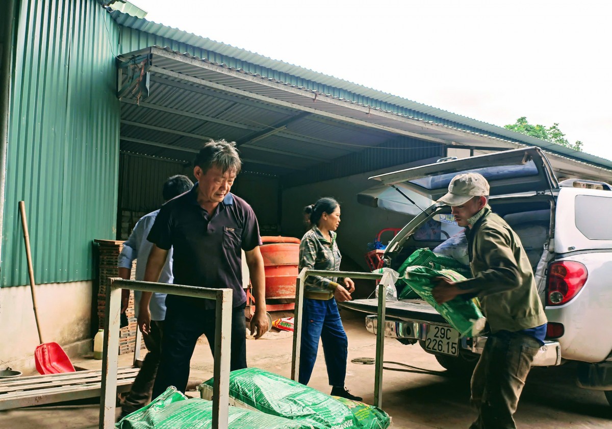 Câu chuyện chồng Đài, vợ Việt đam mê trồng lúa tốt ở Hải Dương