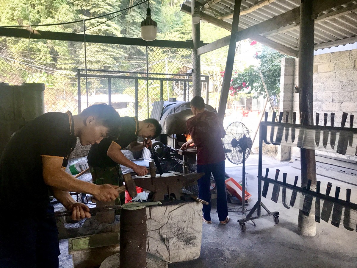 Sức sống mới nơi biên cương xanh