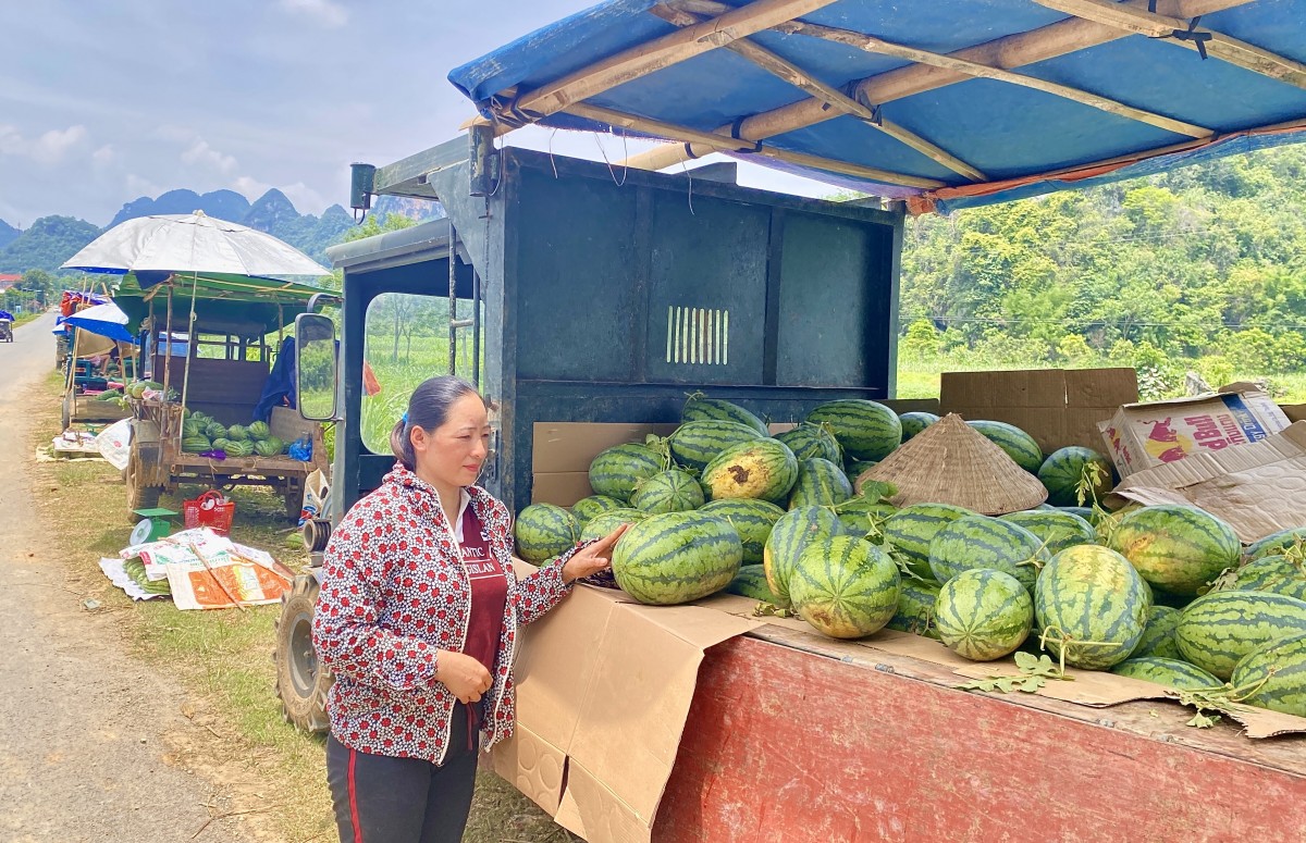 Sức sống mới nơi biên cương xanh