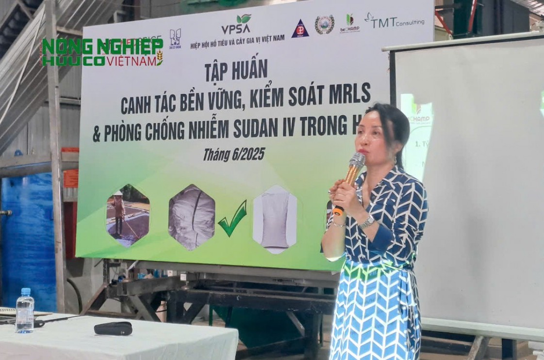 Đắk Nông: Tập huấn canh tác hồ tiêu bền vững và cảnh báo Sudan đỏ cho nông dân