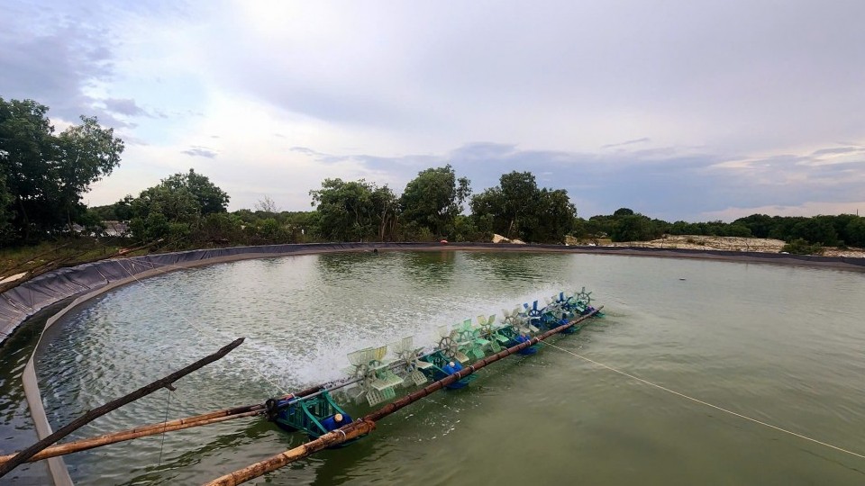 Một số thách thức và lợi ích thiết thực của nuôi trồng thủy sản hữu cơ