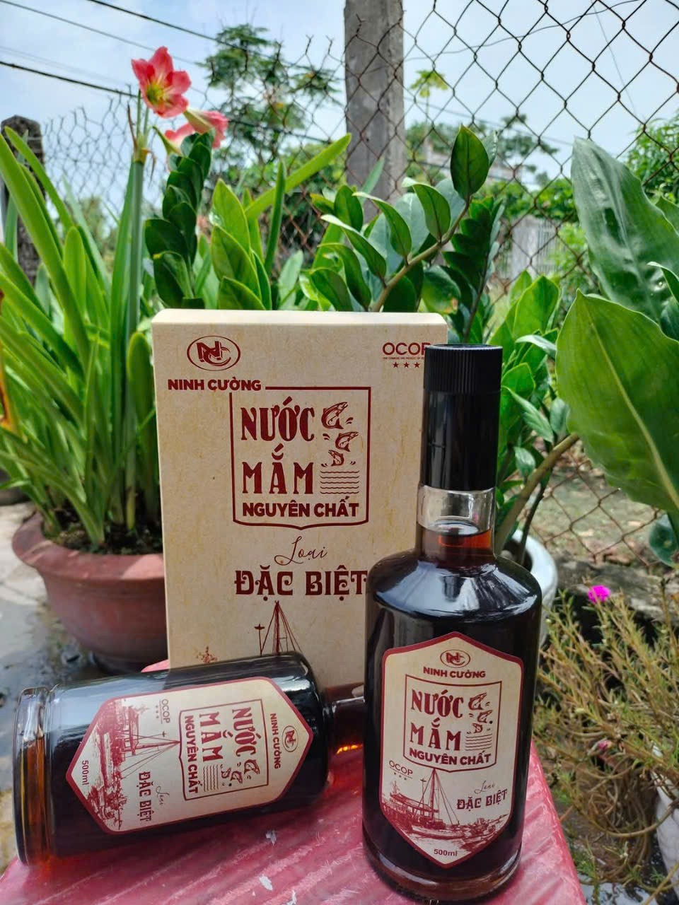 Sản xuất nước mắm theo cách đặc biệt này, không lo đầu ra