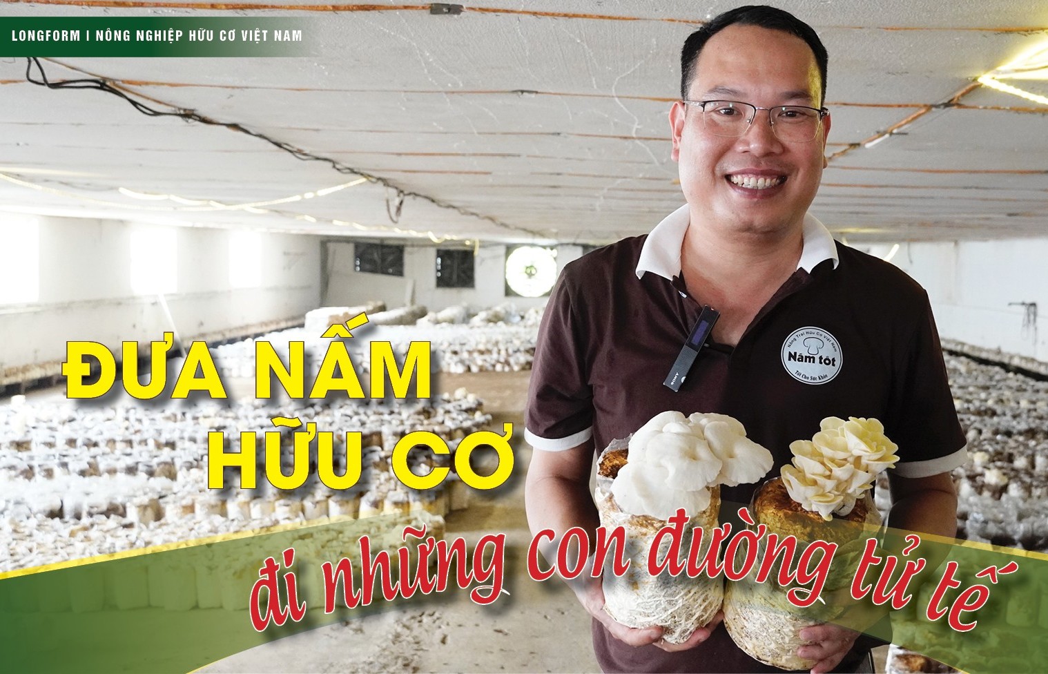 [Longform] Đưa nấm hữu cơ đi những con đường tử tế
