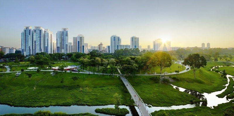 Áp dụng các phương pháp canh tác hữu cơ và bền vững: Góp phần vào tăng trưởng xanh