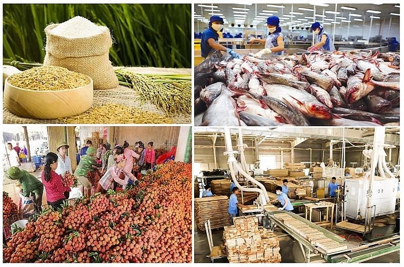 Hải Phòng: Nông - lâm - thủy sản đạt 8.568 tỷ đồng trong 6 tháng đầu năm