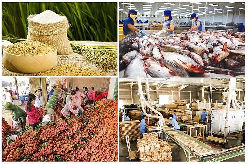 Hải Phòng: Nông - lâm - thủy sản đạt 8.568 tỷ đồng trong 6 tháng đầu năm