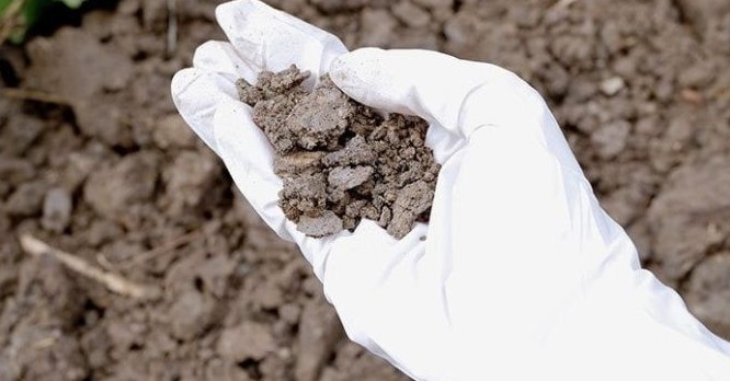 Cảnh báo Cadmium tích tụ trong đất nông nghiệp ở Châu Âu