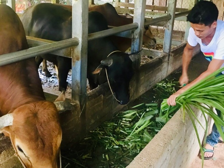 Cao Bằng: Triển khai 1.605 dự án, kế hoạch hỗ trợ phát triển sản xuất liên kết theo chuỗi giá trị