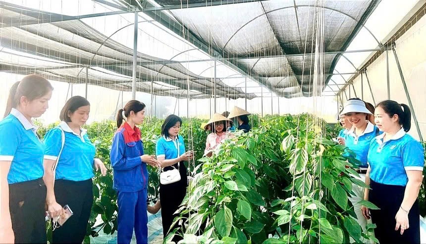 Vĩnh Phúc tích cực triển khai Tiểu dự án giảm nghèo về thông tin giai đoạn 2021-2024