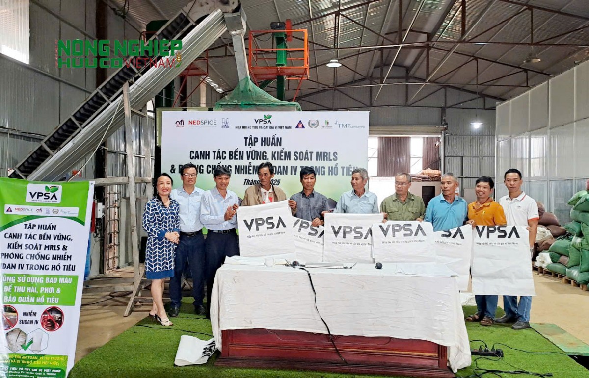 Đắk Nông: Cảnh báo khẩn cấp tình trạng nhiễm Sudan đỏ trong hồ tiêu và nông sản