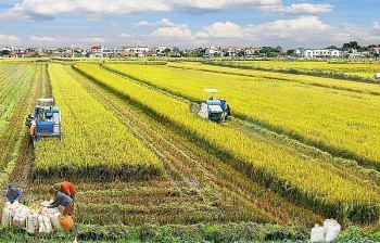 Chính sách miễn thuế đất nông nghiệp dành cho hộ nghèo