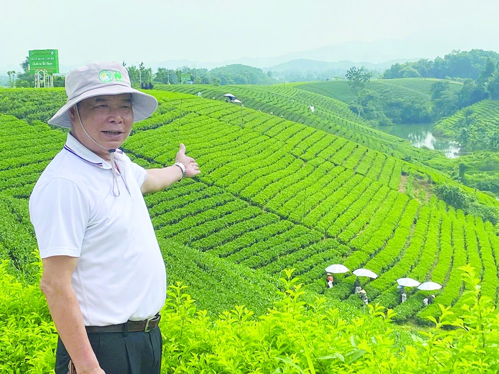 Báo chí là công cụ tuyên truyền để lan tỏa về giá trị của nông nghiệp hữu cơ