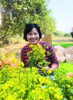 Báo chí là công cụ tuyên truyền để lan tỏa về giá trị của nông nghiệp hữu cơ