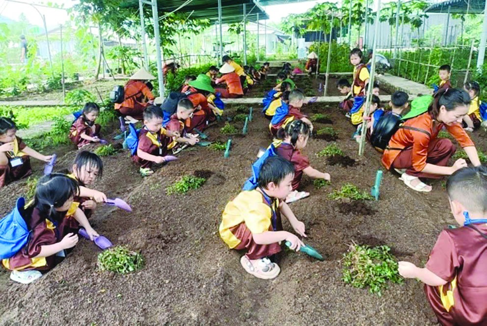 Sản xuất nông nghiệp xanh kết hợp du lịch trải nghiệm