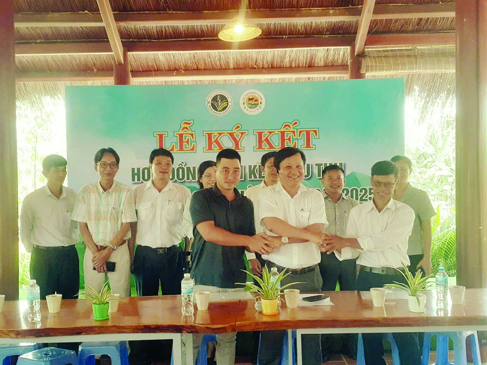 Sản xuất nông nghiệp xanh kết hợp du lịch trải nghiệm