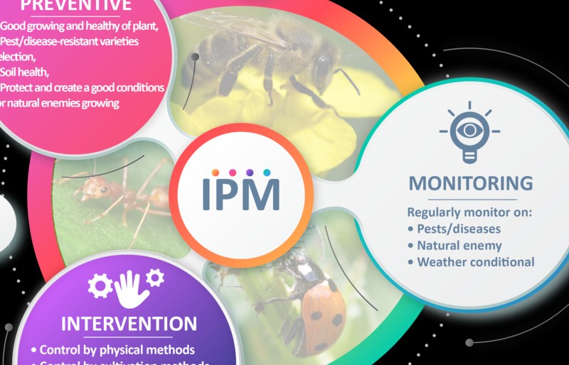 Quản lý dịch hại tổng hợp (IPM): Một cách tiếp cận bền vững trong nông nghiệp
