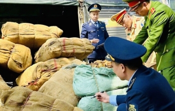 Cao Bằng: Phát hiện, bắt giữ 122.854 kg nguyên liệu thuốc lá nhập lậu, không rõ nguồn gốc