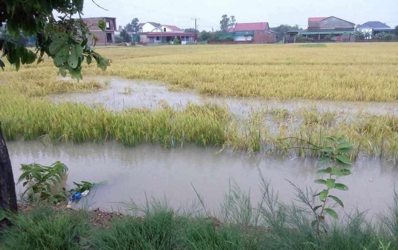 Bắc Ninh: Chủ động ứng phó với mưa lũ đầu vụ