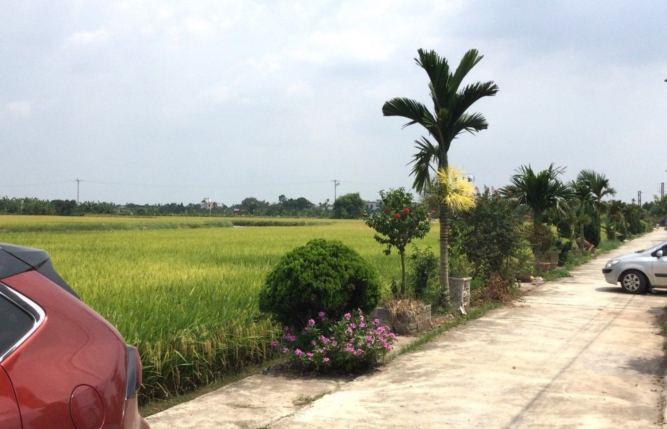 Bài cuối: Phát triển nông nghiệp sạch gắn với xây dựng nông thôn mới, hướng đi bền vững ở Minh Tân