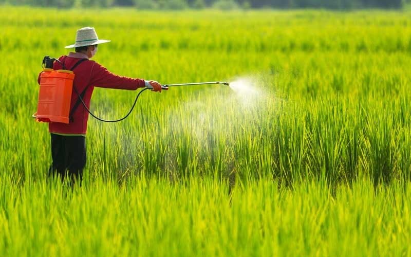 Thực hiện chính quyền địa phương 2 cấp trong nông nghiệp và môi trường