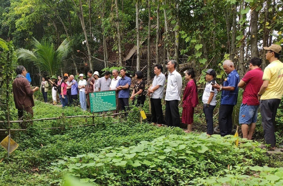 TP Hồ Chí Minh: Du khách từ hơn 30 nước đến tham quan nông trại hữu cơ