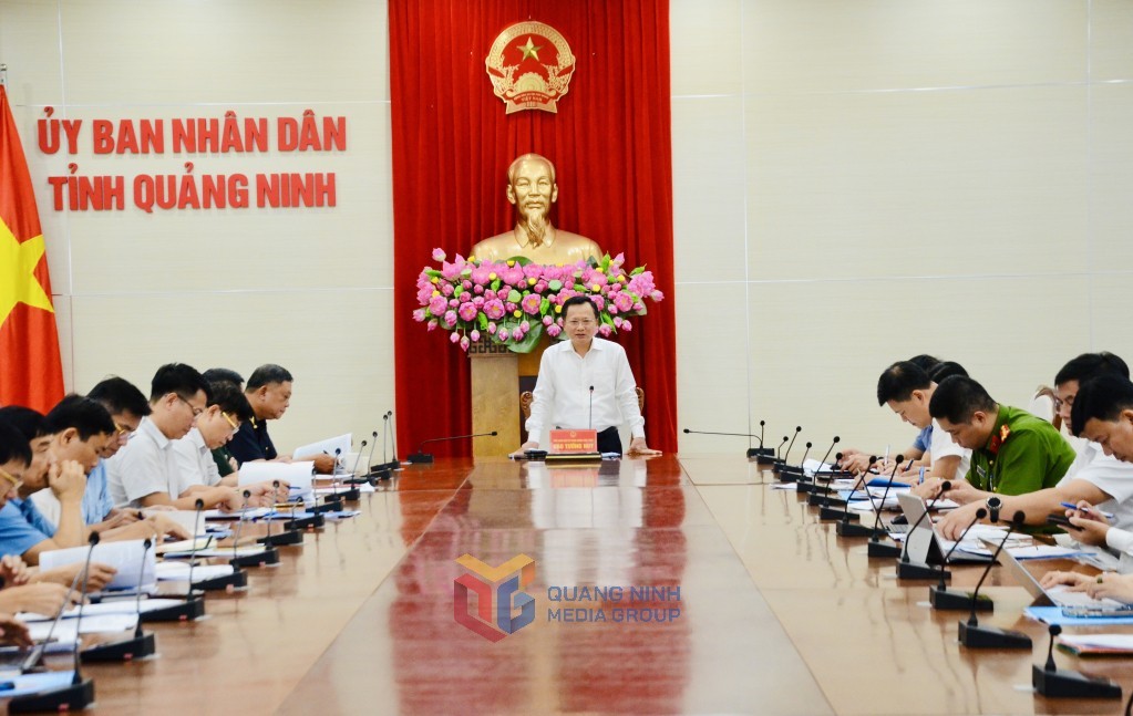 Quảng Ninh: Chủ tịch xã, phường, đặc khu phải tham gia vào Ban Chỉ đạo 389 tỉnh