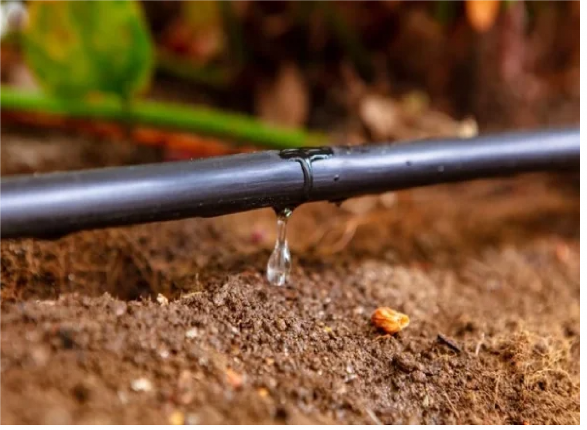 Sáng tạo để thích ứng trước biến đổi khí hậu, hướng đến nền nông nghiệp bền vững