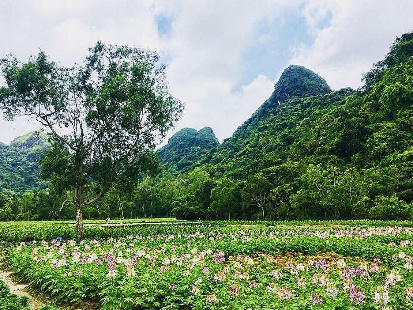 Du lịch xanh ở Cát Bà: Hướng đi bền vững cho 