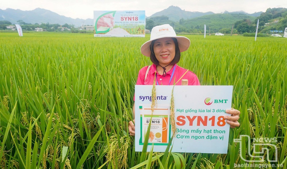Thái Nguyên: Những lợi thế để nông, lâm nghiệp bứt phá