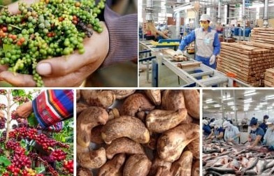 Nông nghiệp trước thuế quan mới: Thách thức và cơ hội chuyển mình