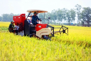 Ứng dụng công nghệ sinh học hiện đại trong sản xuất sản phẩm nông nghiệp