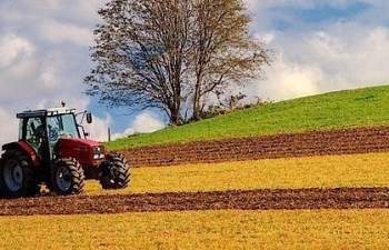 Thiên đường Hữu cơ Eifel: Nơi đất mẹ được trân trọng