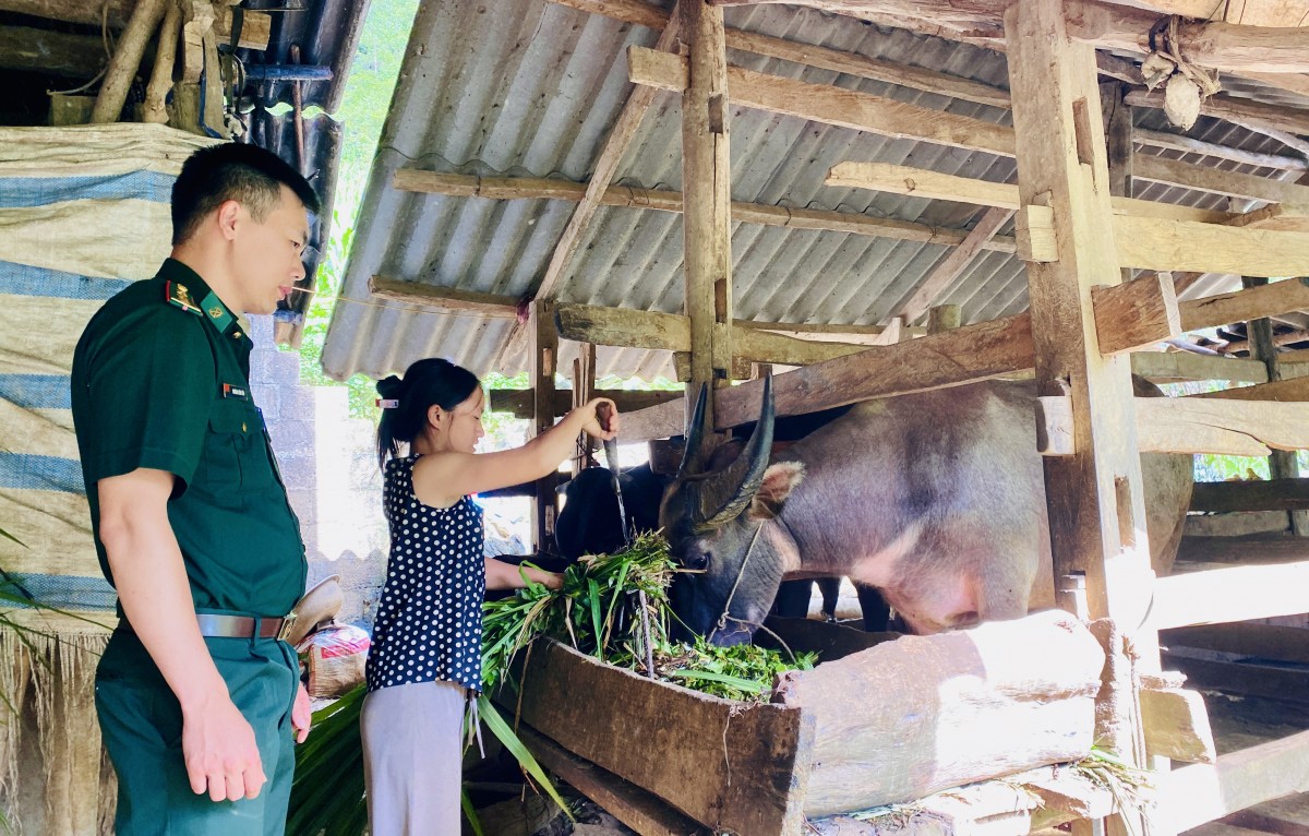 Sao xanh toả sáng biên cương xanh – Kỳ cuối: Điểm tựa vững chắc nơi biên cương xanh (bài dự thi)