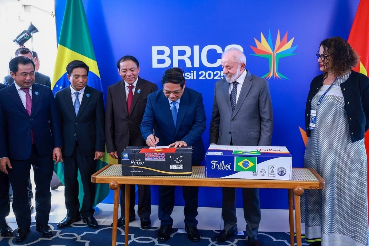 Việt Nam - Brazil đẩy mạnh hợp tác đầu tư sản xuất và chế biến nông sản