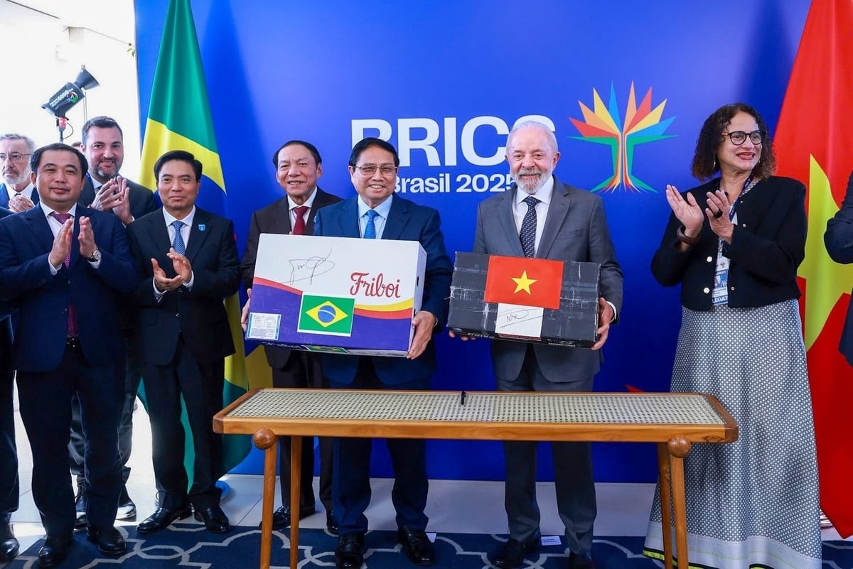 Việt Nam - Brazil đẩy mạnh hợp tác đầu tư sản xuất và chế biến nông sản