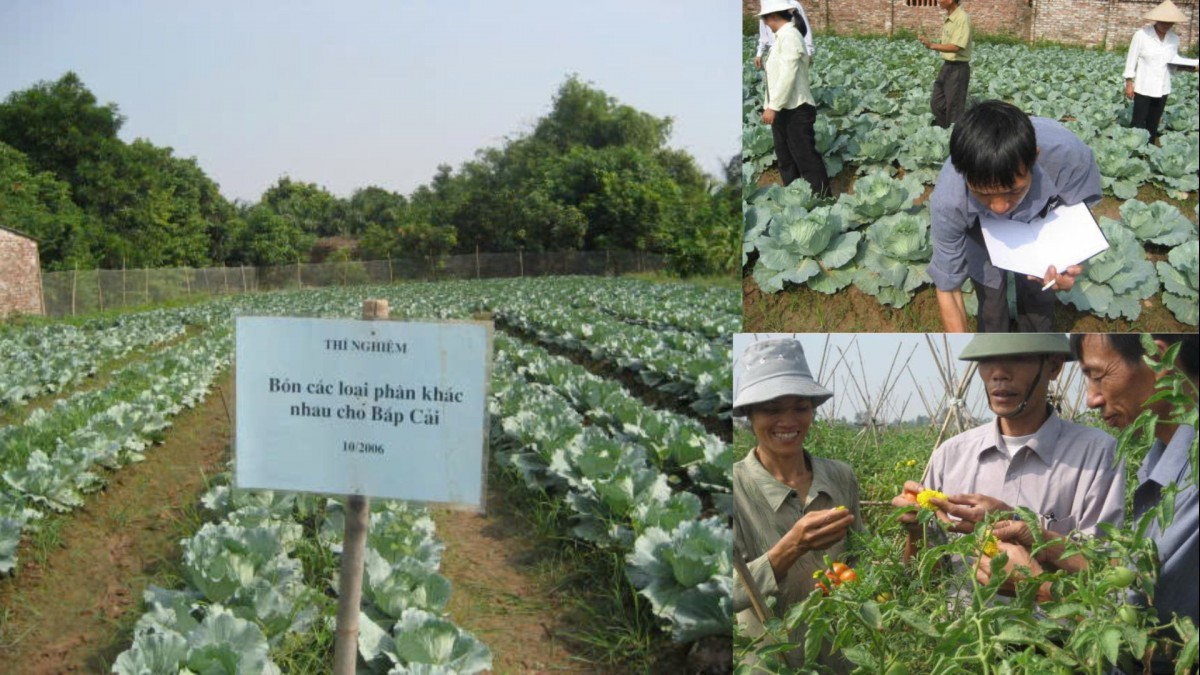 Hành trình phát triển nông nghiệp hữu cơ - Kỳ 1: Những bước đi đầu tiên gắn liền với chứng nhận PGS