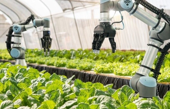Vai trò và vị trí của Nghị quyết 57 đối với kinh tế - xã hội