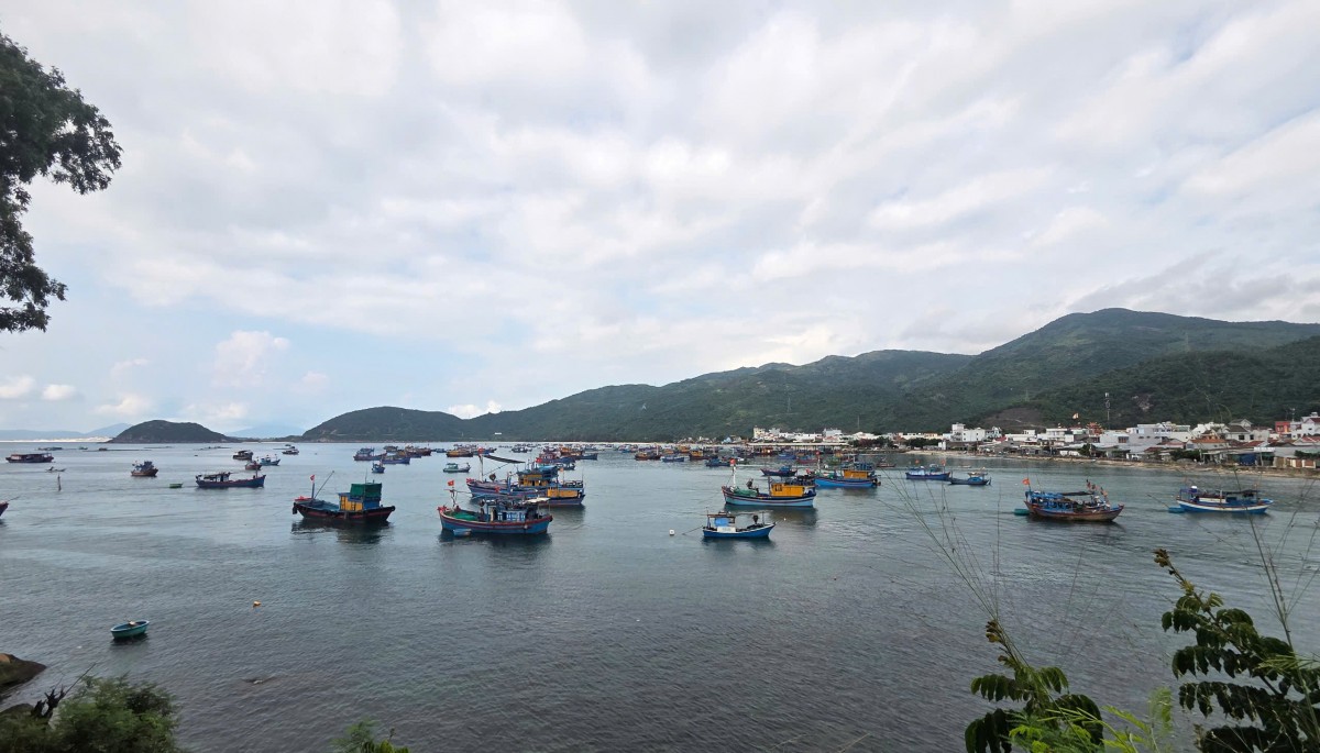 Quy hoạch cảng biển Phú Yên, lượng hàng hoá lưu thông đến 2 triệu tấn