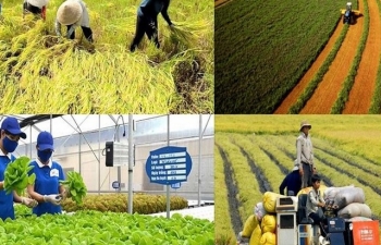 Những thách thức và hành trình trong chuỗi nông sản xuất khẩu của Việt Nam