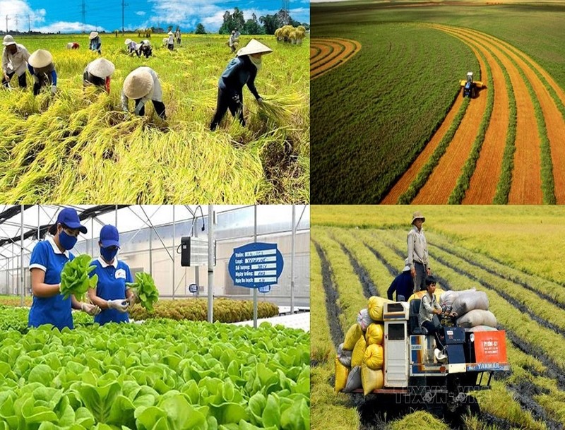 Những thách thức và hành trình trong chuỗi nông sản xuất khẩu của Việt Nam