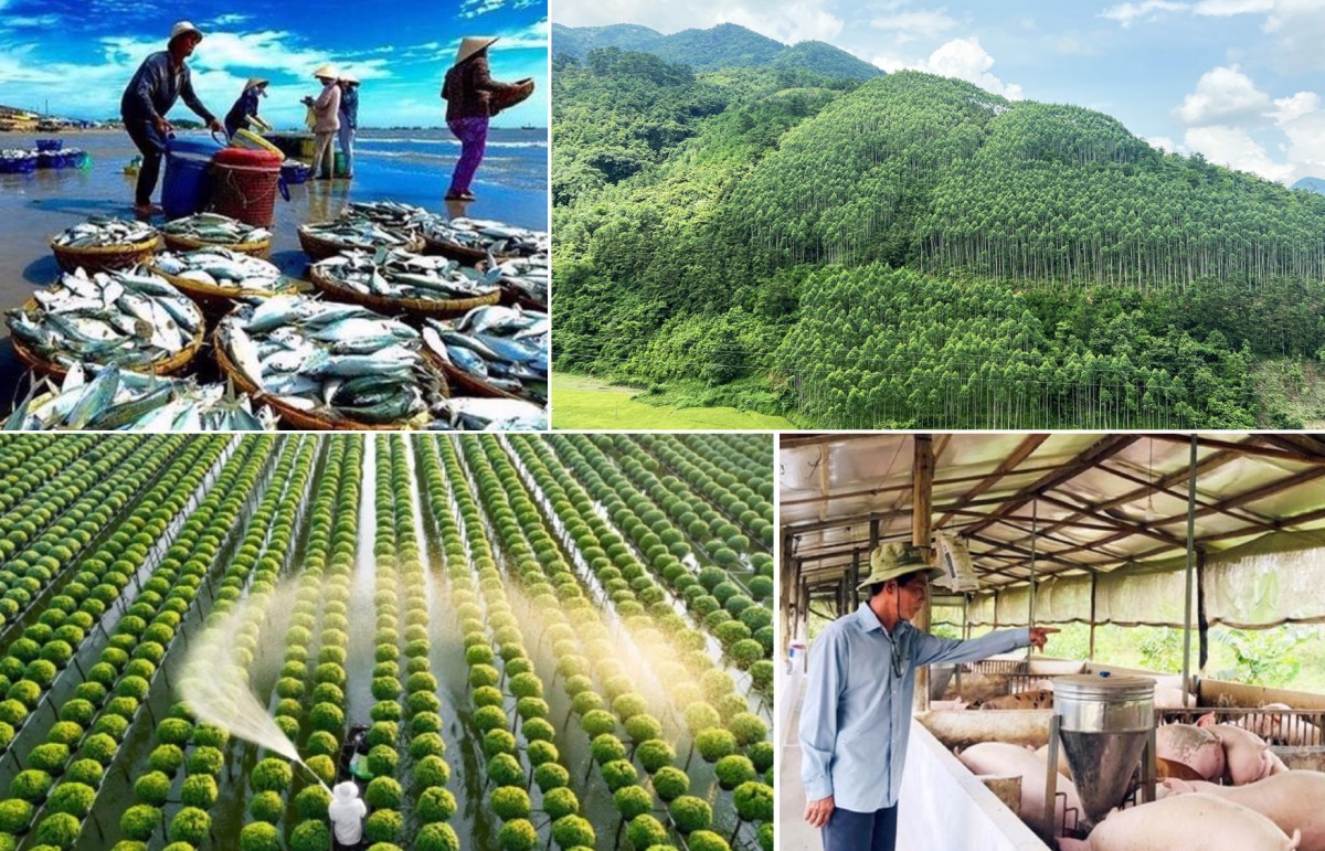 Lĩnh vực giám định tư pháp trong nông nghiệp và môi trường