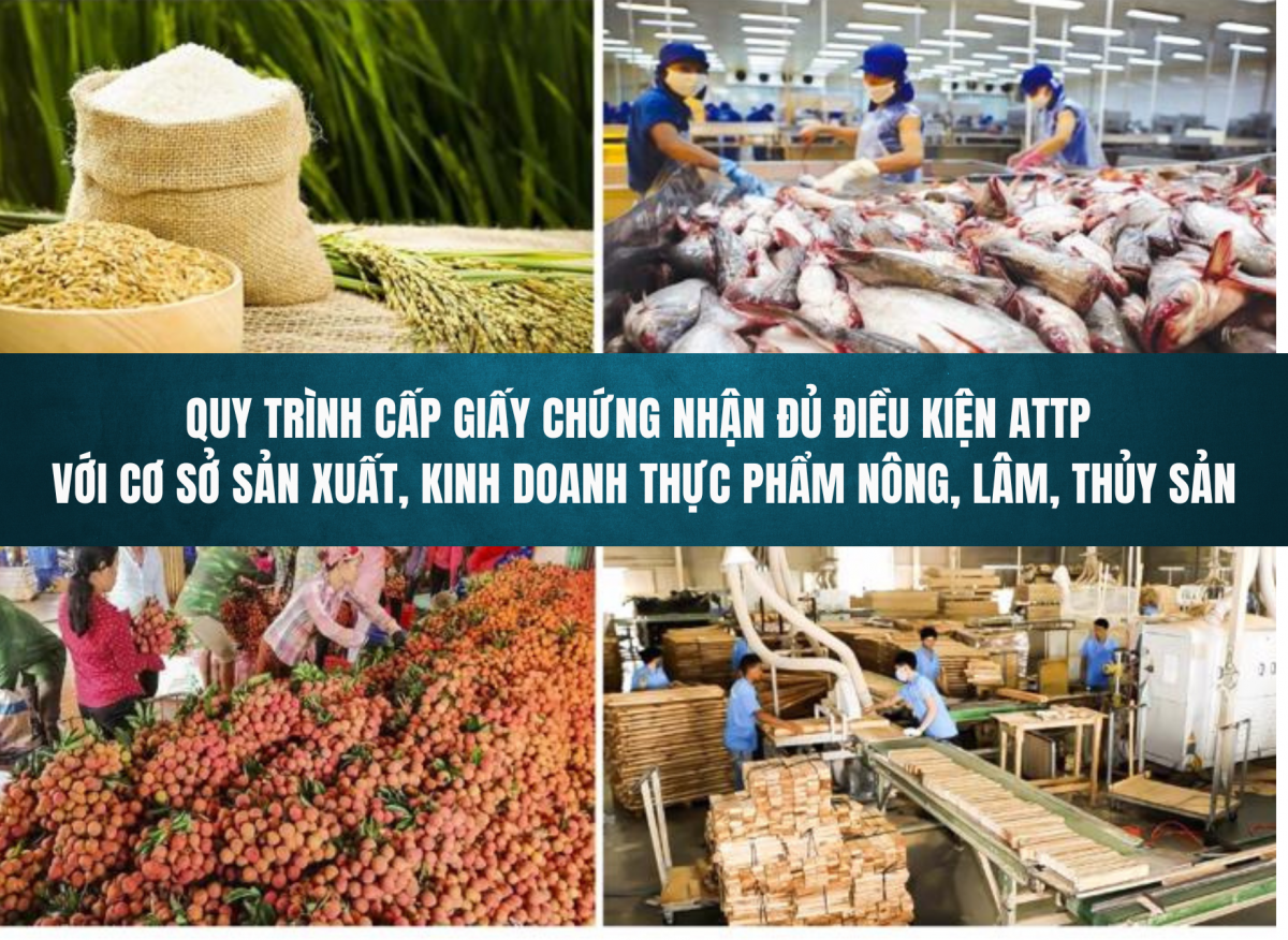 Quy trình cấp giấy chứng nhận đủ điều kiện ATTP với cơ sở sản xuất, kinh doanh thực phẩm nông, lâm, thủy sản