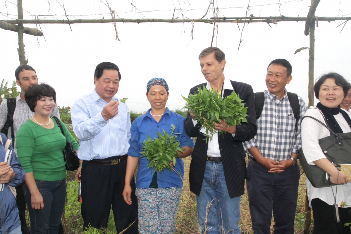 Hành trình phát triển nông nghiệp hữu cơ - Kỳ 2:  Quy trình để người nông dân tham gia chứng nhận PGS