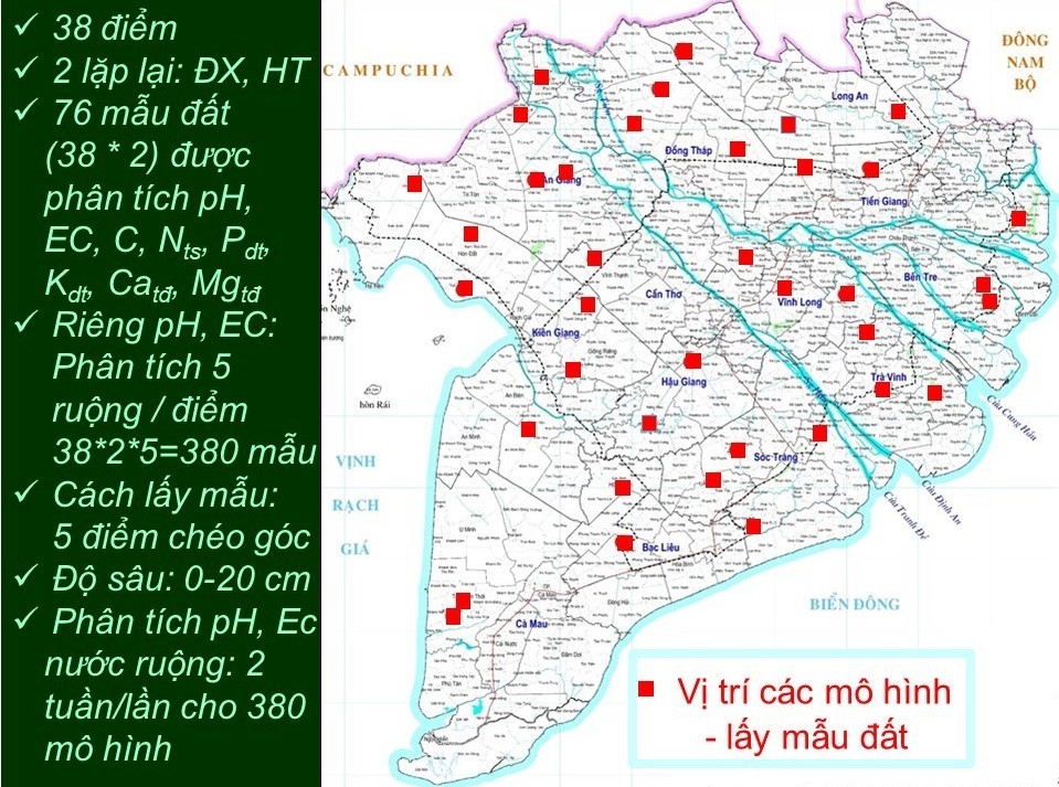 Thực trạng Canxi đất lúa vùng Đồng bằng Sông Cửu Long từ kết quả Chương trình “canh tác lúa thông minh”