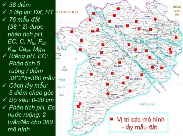 Thực trạng Canxi đất lúa vùng Đồng bằng Sông Cửu Long từ kết quả Chương trình “canh tác lúa thông minh”