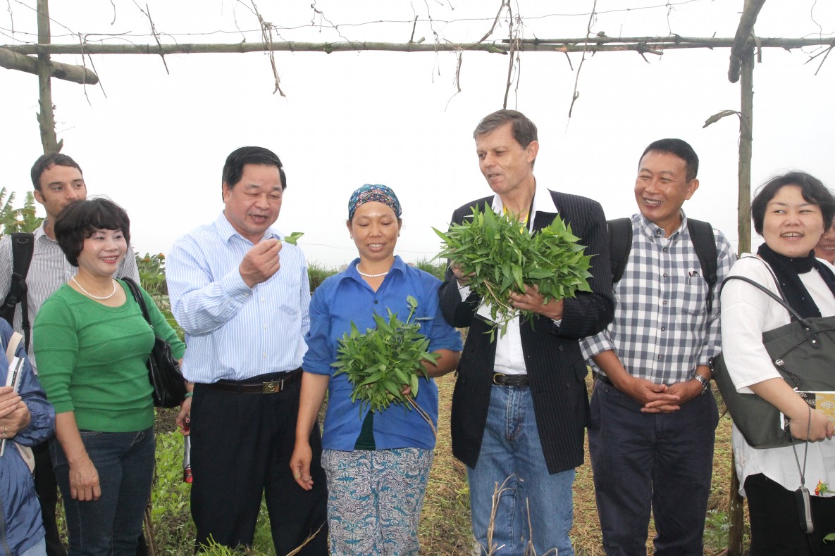 Hành trình phát triển nông nghiệp hữu cơ - Kỳ 2:  Quy trình để người nông dân tham gia chứng nhận PGS