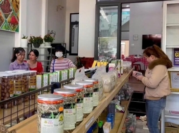 Gia Lai: Siết chặt quản lý và nâng cao chất lượng sản phẩm OCOP