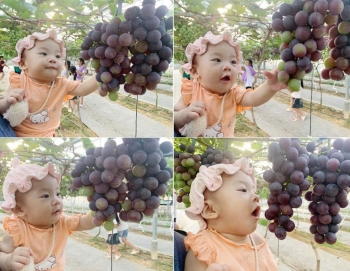 Đã mắt với vườn nho, dưa lưới trĩu quả của anh nông dân xứ Nghệ