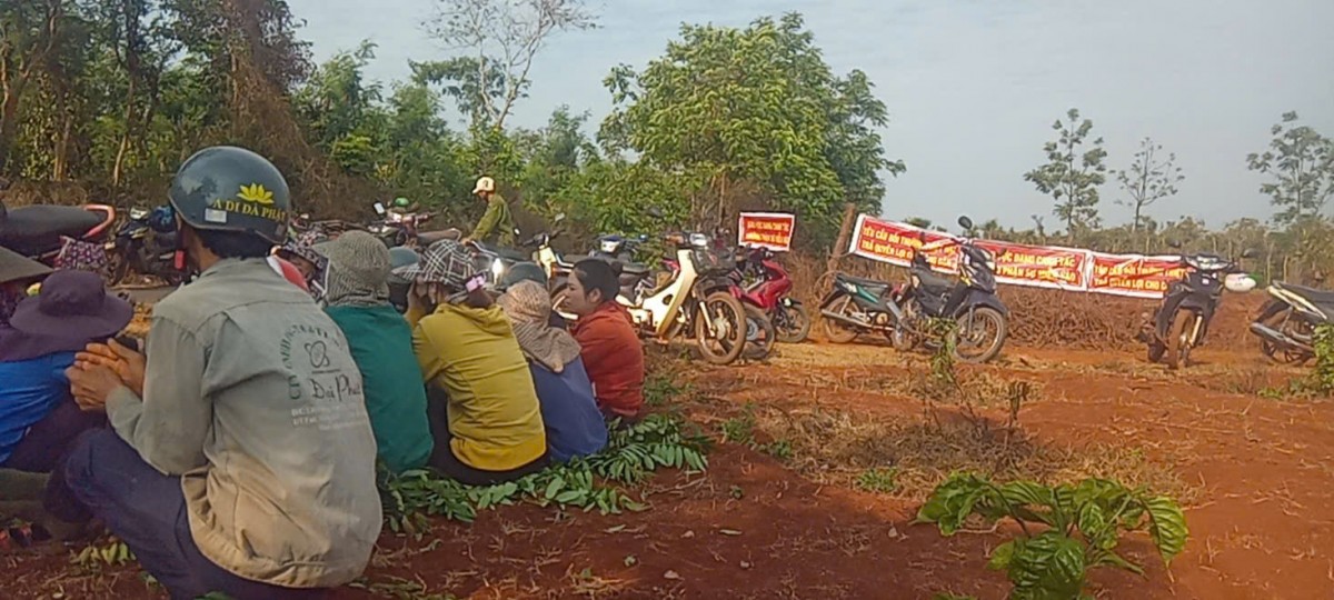 Công ty Cổ phần Cà phê Gia Lai-Chi nhánh Chư Sê bị chiếm dụng hơn 262 ha đất